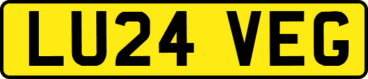LU24VEG