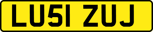 LU51ZUJ