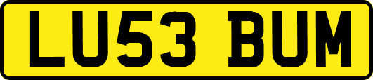 LU53BUM