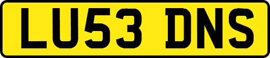 LU53DNS