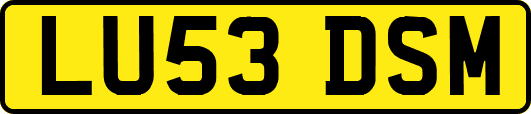 LU53DSM