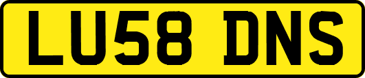 LU58DNS