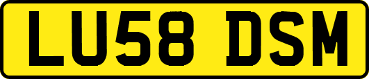 LU58DSM