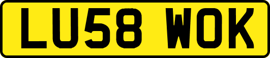 LU58WOK