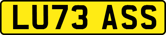 LU73ASS