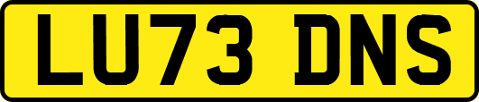 LU73DNS