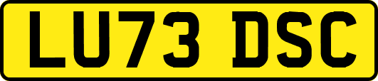 LU73DSC