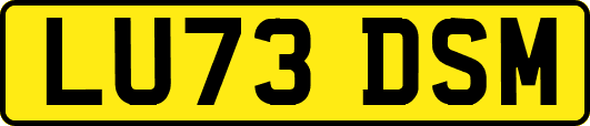 LU73DSM
