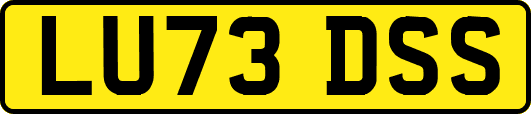LU73DSS