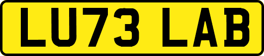 LU73LAB