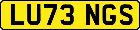 LU73NGS