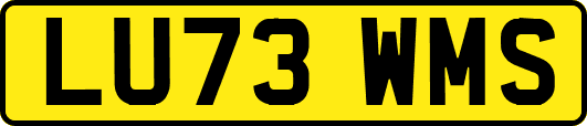 LU73WMS