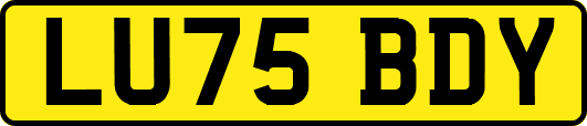 LU75BDY