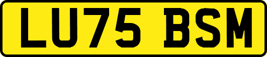 LU75BSM