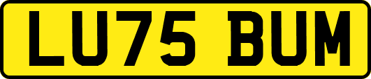 LU75BUM