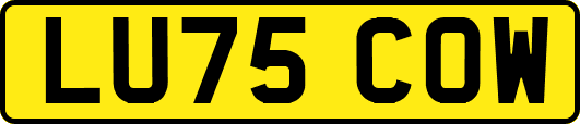 LU75COW