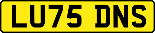 LU75DNS