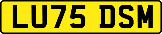 LU75DSM