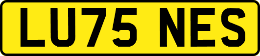 LU75NES