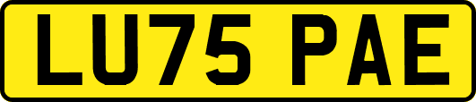 LU75PAE