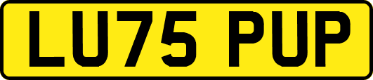 LU75PUP