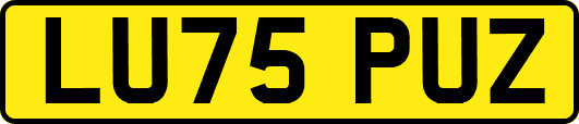 LU75PUZ