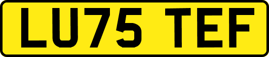 LU75TEF