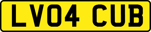 LV04CUB