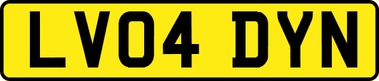 LV04DYN