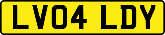 LV04LDY