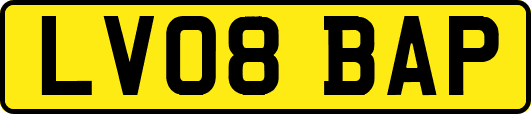 LV08BAP
