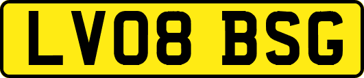 LV08BSG