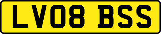 LV08BSS