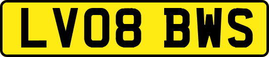 LV08BWS