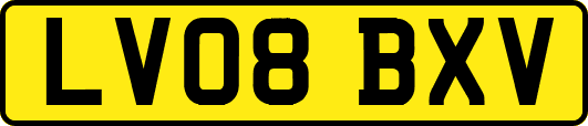 LV08BXV