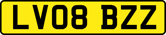 LV08BZZ