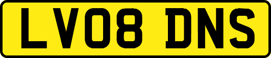 LV08DNS