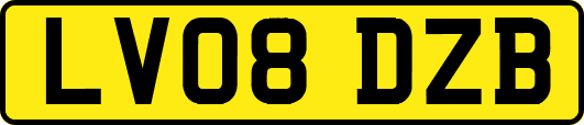 LV08DZB