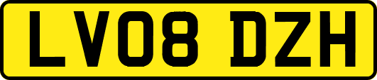 LV08DZH