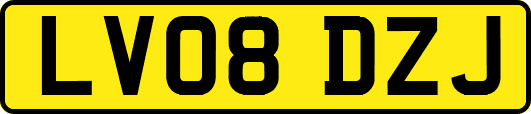 LV08DZJ