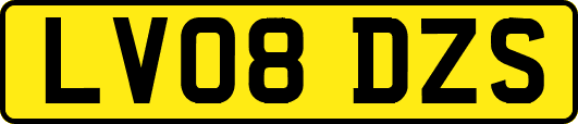 LV08DZS