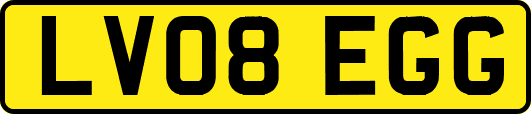 LV08EGG