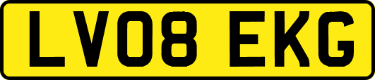 LV08EKG