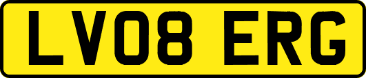 LV08ERG