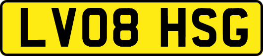 LV08HSG