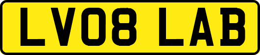 LV08LAB