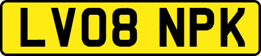 LV08NPK
