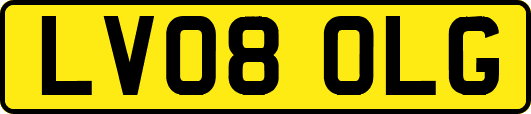 LV08OLG