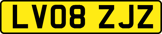 LV08ZJZ