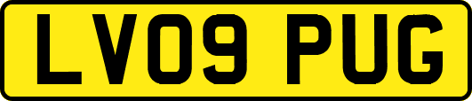 LV09PUG